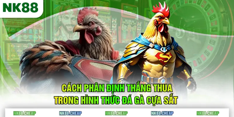 Cách phân định thắng thua trong hình thức đá gà cựa sắt 